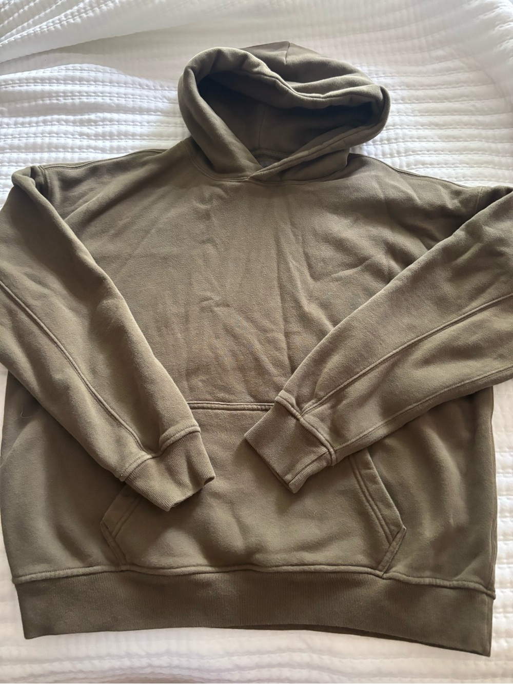 Abercrombie & Fitch Olive Tone Pullover Hoodie